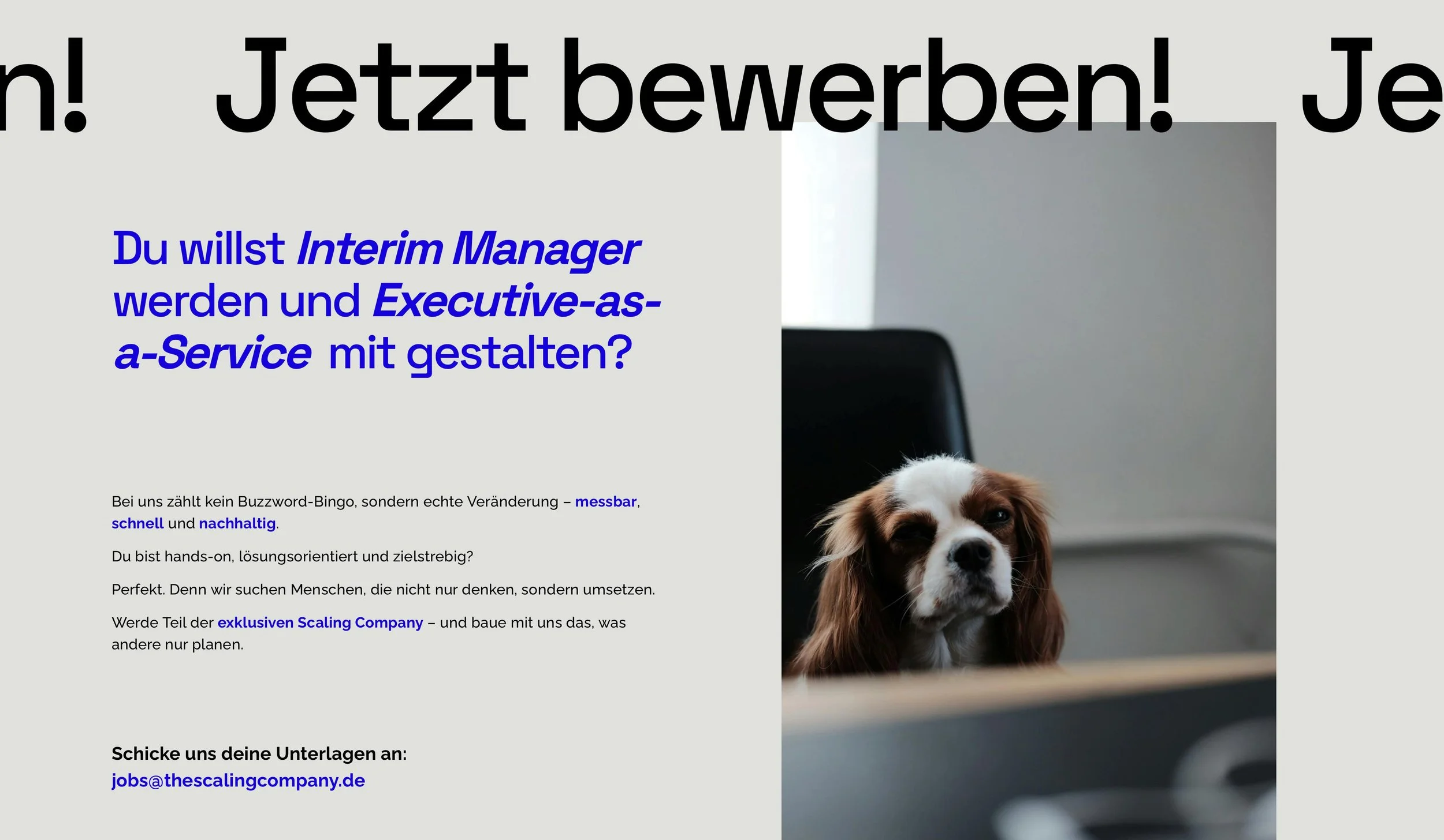 The Scaling Company Website Screenshot 3